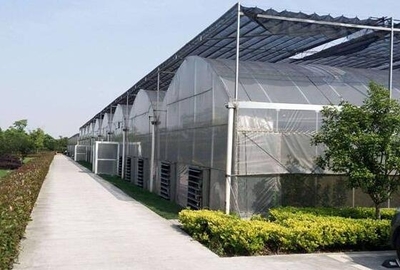 綠色保障，信譽(yù)見證 安慶市陽光板連棟溫室大棚庫存充足之優(yōu)勢(shì)解析