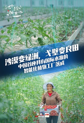 在世界屋脊湘遇丨湖南援藏又三年，高原會(huì)記得他們的故事 溫室